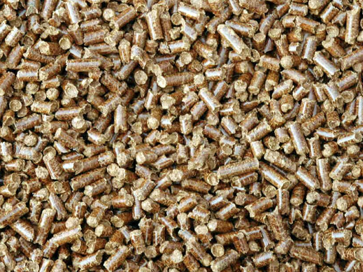 Issus à l'origine de sciures et résidus de la filière bois, le pellet a vu son marché se développer de manière exponentielle en Europe. Utilisé dans certaines centrales en charbon converties en centrales à bois, il est aujourd'hui importé et produit à partir d'arbres spécifiquement broyés.