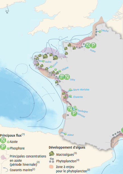 Algues vertes et microalgues en France. Doc. Commissariat général au développement durable